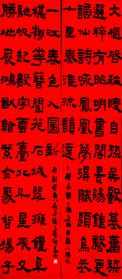 江宁开发区小学  李智遥