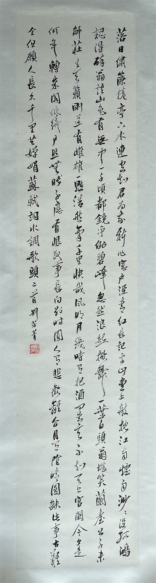 南京师范大学附属小学  刘芳菁