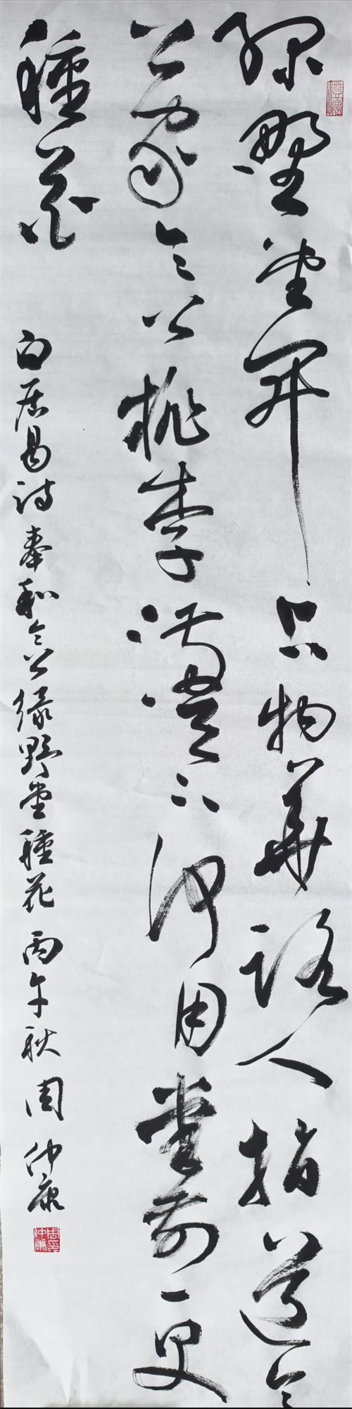 高淳区实验小学 周仲康