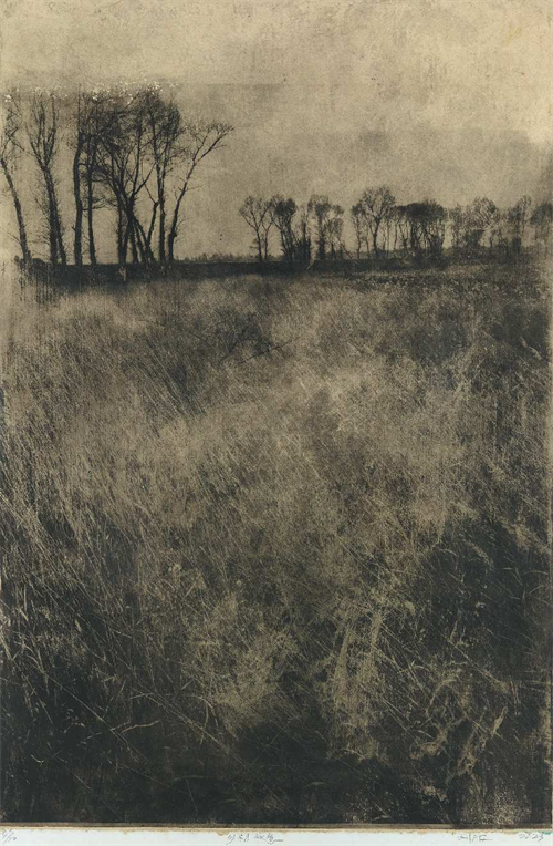 刘波  《乡村秋意》  铜版  90cm×60cm